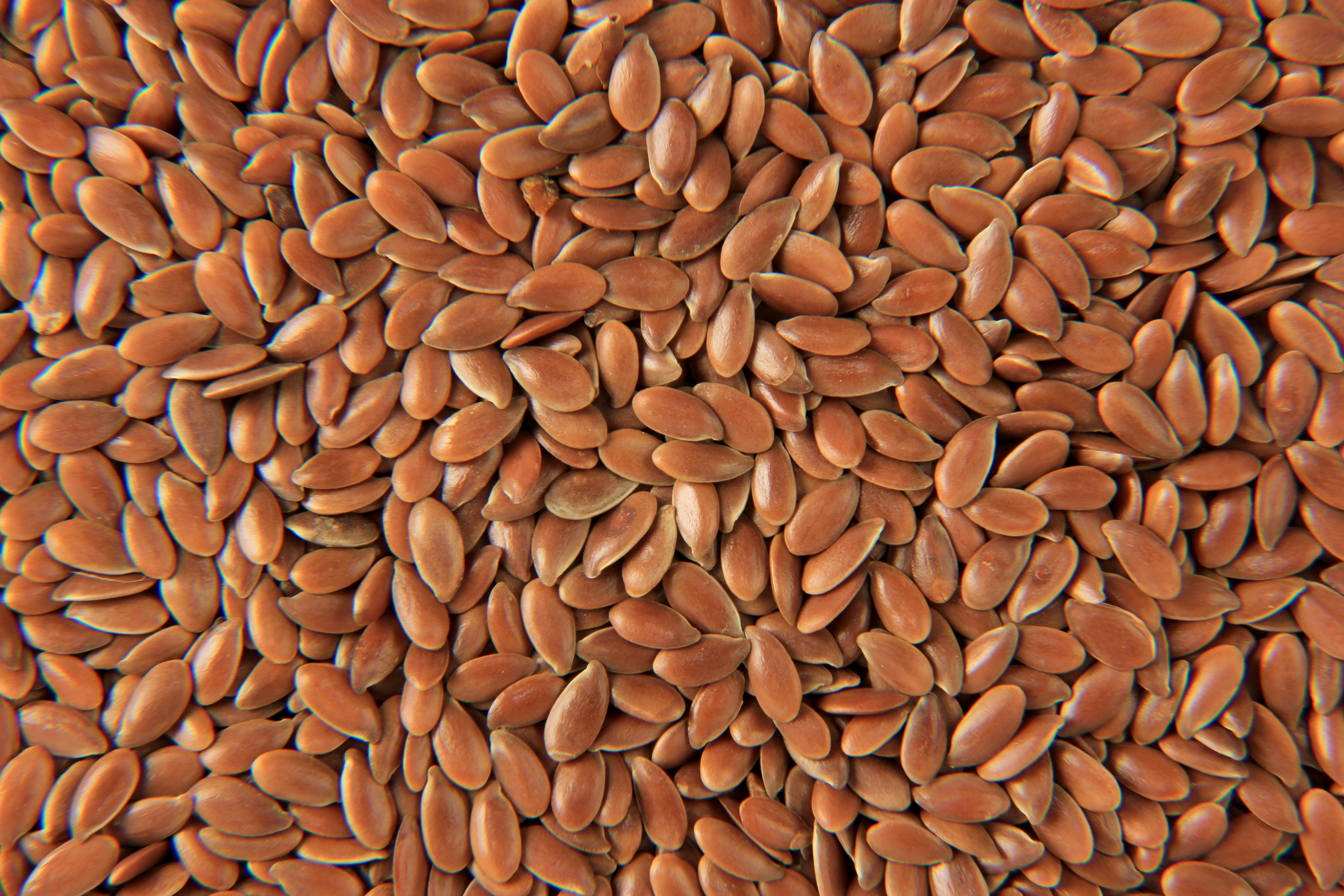 Flax seeds